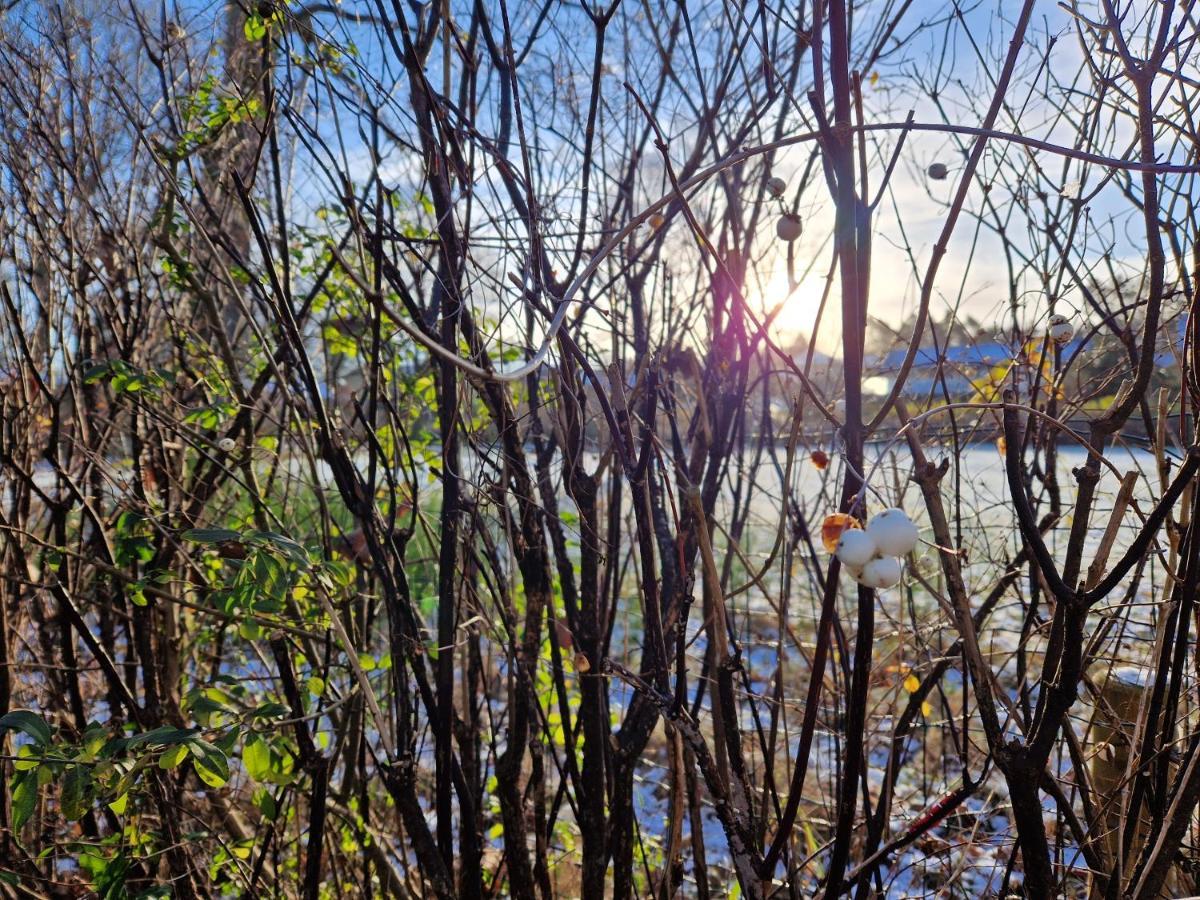 Lille Bo Lägenhet Silkeborg Exteriör bild